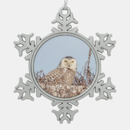 Adorno De Peltre Tipo Copo De Nieve Nieves en la playa