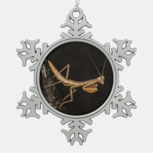 Adorno De Peltre Tipo Copo De Nieve Orando Mantis Arte De Insectos Cuto Y Alarmante