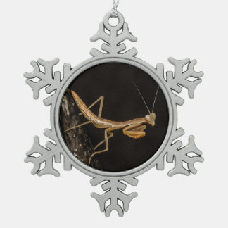 Adorno De Peltre Tipo Copo De Nieve Orando Mantis Arte De Insectos Cuto Y Alarmante