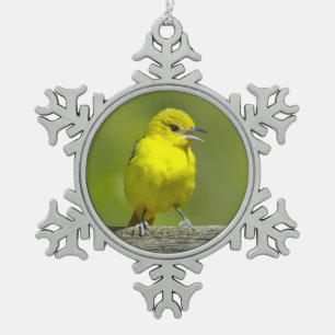 Adorno De Peltre Tipo Copo De Nieve Orchard Oriole - Fotografía Original