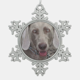 Adorno De Peltre Tipo Copo De Nieve Ornamento de Weimaraner Pewter Snowflake