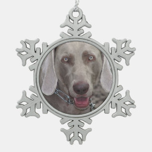 Adorno De Peltre Tipo Copo De Nieve Ornamento de Weimaraner Pewter Snowflake