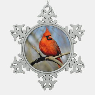 Adorno De Peltre Tipo Copo De Nieve Ornamento del cardenal Escudo Snowflake