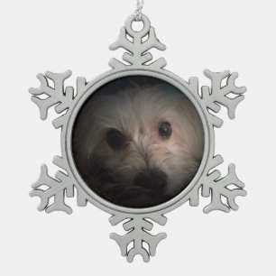 Adorno De Peltre Tipo Copo De Nieve Ornamento lindo del rescate del perrito del perro