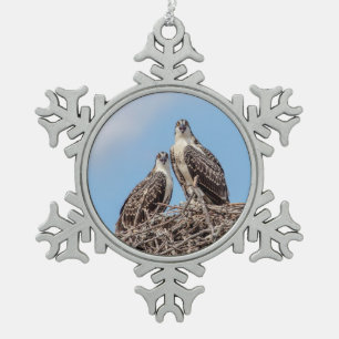 Adorno De Peltre Tipo Copo De Nieve Osprey juvenil en el nido