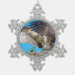 Adorno De Peltre Tipo Copo De Nieve Osprey juvenil en el nido