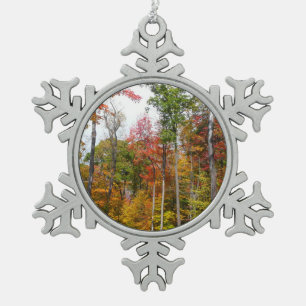 Adorno De Peltre Tipo Copo De Nieve Otoño en el bosque Fotografía colorida de otoño