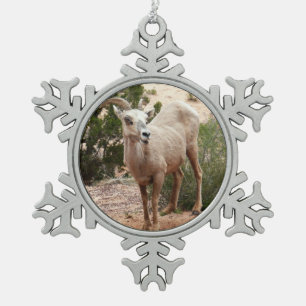 Adorno De Peltre Tipo Copo De Nieve Ovejas divertidas de cuernos grandes en el Parque