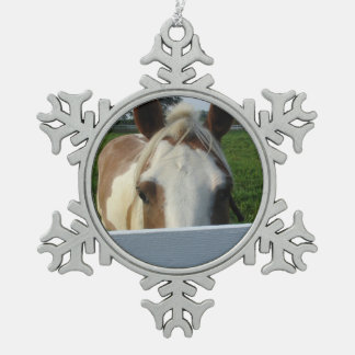 Adorno De Peltre Tipo Copo De Nieve Palomino de Peek a Boo detrás de la cerca