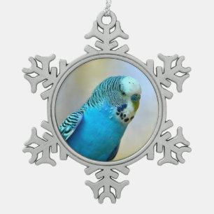 Adorno De Peltre Tipo Copo De Nieve Pegatina cuadrado con tarjeta postal azul perdida 