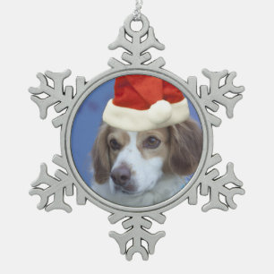 Adorno De Peltre Tipo Copo De Nieve Perro de aguas de Bretaña