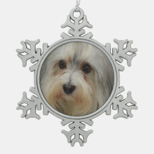 Adorno De Peltre Tipo Copo De Nieve Perro de Havanese