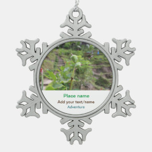 Adorno De Peltre Tipo Copo De Nieve Plantas naturales fotografía nombre de viaje en ag