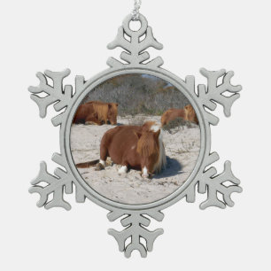 Adorno De Peltre Tipo Copo De Nieve Potros Salvajes Durmiendo en el Parque Nacional As