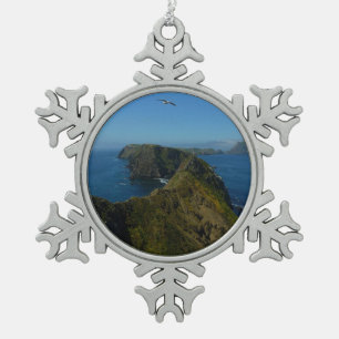 Adorno De Peltre Tipo Copo De Nieve Punto de Inspiración I de Anacapa en Islas del Can