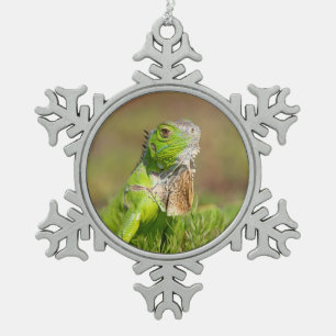 Adorno De Peltre Tipo Copo De Nieve Retrato de Iguana Verde Fotografía de Reptiles