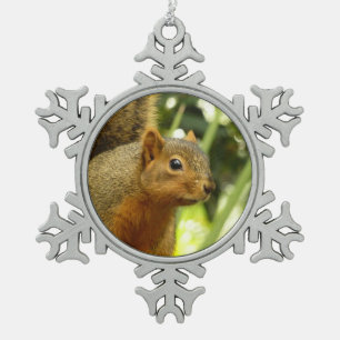 Adorno De Peltre Tipo Copo De Nieve Retrato de una ardilla Fotografía de animales de l