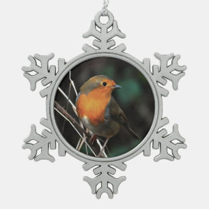 Adorno De Peltre Tipo Copo De Nieve Robin Siendo Brillante En Un Día Duro Arte Acrílic