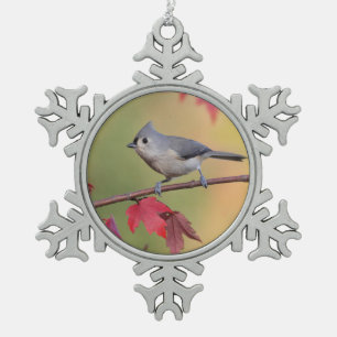 Adorno De Peltre Tipo Copo De Nieve Titmice copetudos