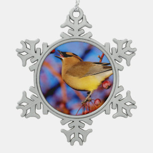 Adorno De Peltre Tipo Copo De Nieve Waxwing de cedro