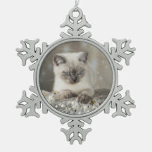 XMAS Cats