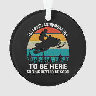 Adorno Dejé De Hacer Snowmobiling Para Estar Aquí