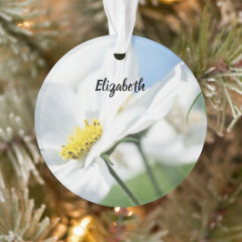 Adorno Deseos con Margaritas Blancas Personalizadas