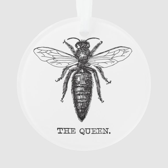 Adorno Dibujo clásico del Ilustracion Queen Bee (Reverso)