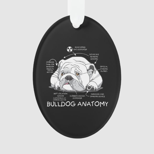Adorno Divertido Bulldog inglés anatomía biología de perr (Anverso)