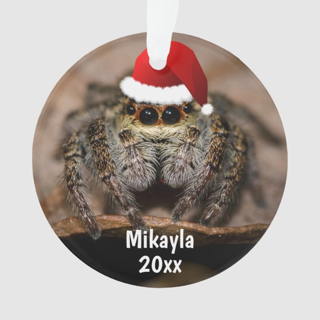 Adorno Divertido saltar araña en Navidades de Santa Hat (Anverso)
