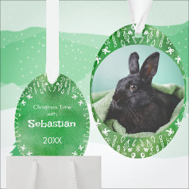 Adorno DIY Rabbit on Green Oval Christmas Ornament