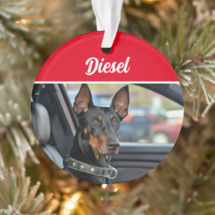 Adorno Doberman Pinscher con nombre y foto Navidad