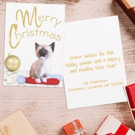 Adorno Dorado de Gatito Siamés de Navidad Lindo