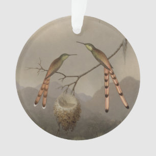 Adorno Dos colibríes con sus jóvenes
