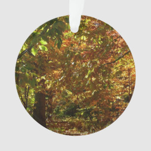 Adorno Dosel de Hojas de Otoño II Fotografía de Otoño Ama