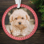 Adorno Dots modernos y juguetones Mascota Perro cachorro<br><div class="desc">El diseño se compone de puntos modernos y juguetones que enmarcan la foto del personalizado. Añade una foto de tu perro o cachorro mascota y agrega nombre y año.</div>