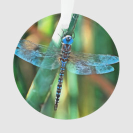 Adorno Dragonfly de fantasía en turquesa y negro