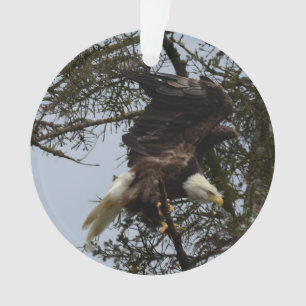 Adorno Eagle calvo de Alaska los E.E.U.U.