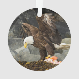 Adorno El águila calva suprema