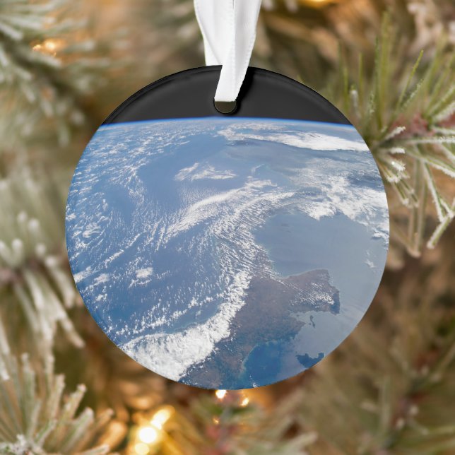 Adorno El Canal de Panamá. (Árbol)