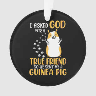 Adorno El cerdo guineano es un verdadero amigo