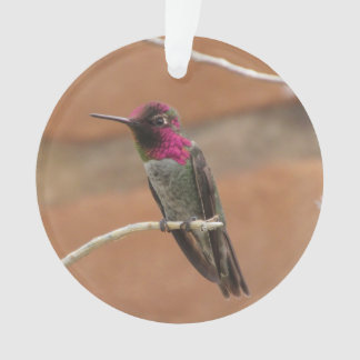 Adorno El colibrí de Ana