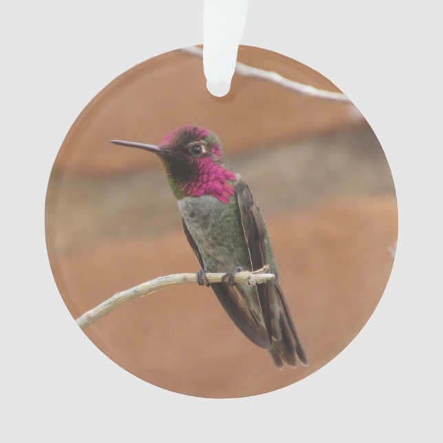 Adorno El colibrí de Ana (Anverso)