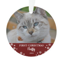 El gato lindo primero copos de nieve de Navidad fo