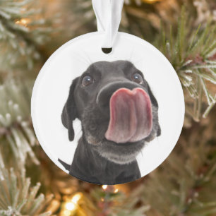 Adorno El labrador negro toca la nariz