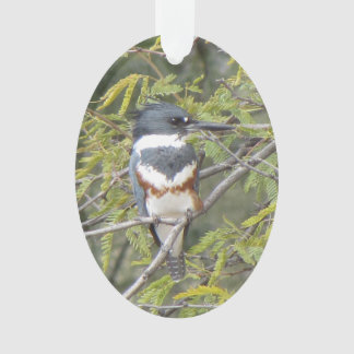 Adorno El pescador Kingfisher