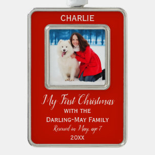Adorno El primer navidad de los perros personalizó el