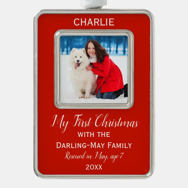 Adorno El primer navidad de los perros personalizó el (Anverso)