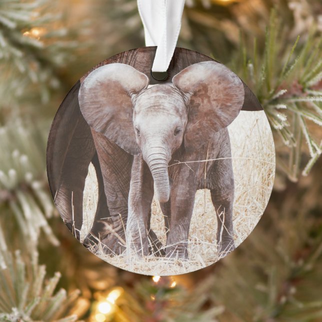 Adorno Elefante bebé cute elefante africano con mamá (Árbol)