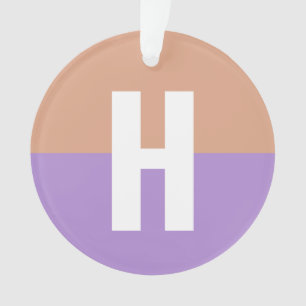 Adorno Elegante Pastel Colorblock Monograma Letra inicial